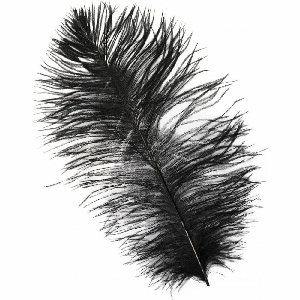 Feathers |   15" Ostrich Feather: Black Accents Black