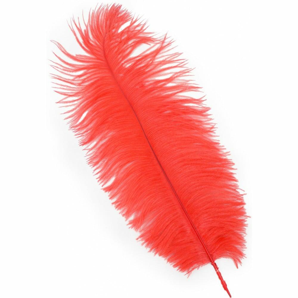 Feathers |   15" Ostrich Feather: Red Accents Feathers