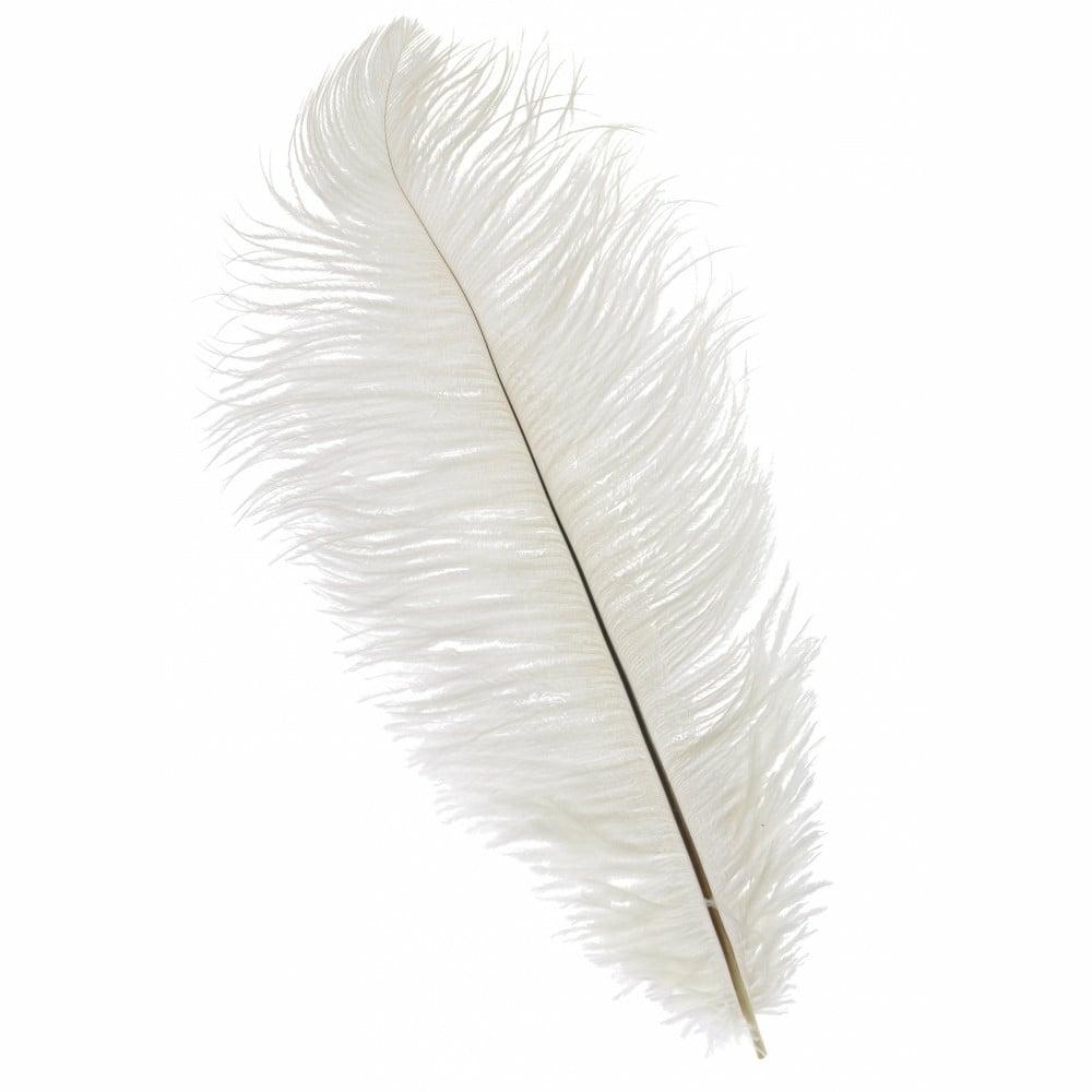 Feathers |   15" Ostrich Feather: White Accents Feathers