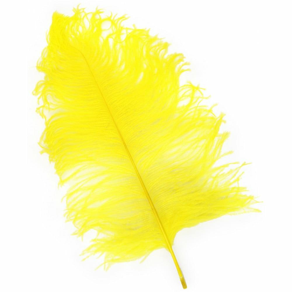 Feathers |   15" Ostrich Feather: Yellow Accents Feathers