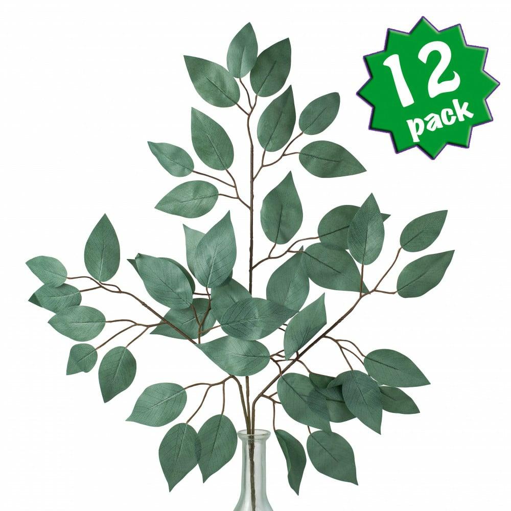 Floral Sprays & Picks |   23" Ficus Leaf Spray: Sage Green (12) Accents Floral Sprays & Picks