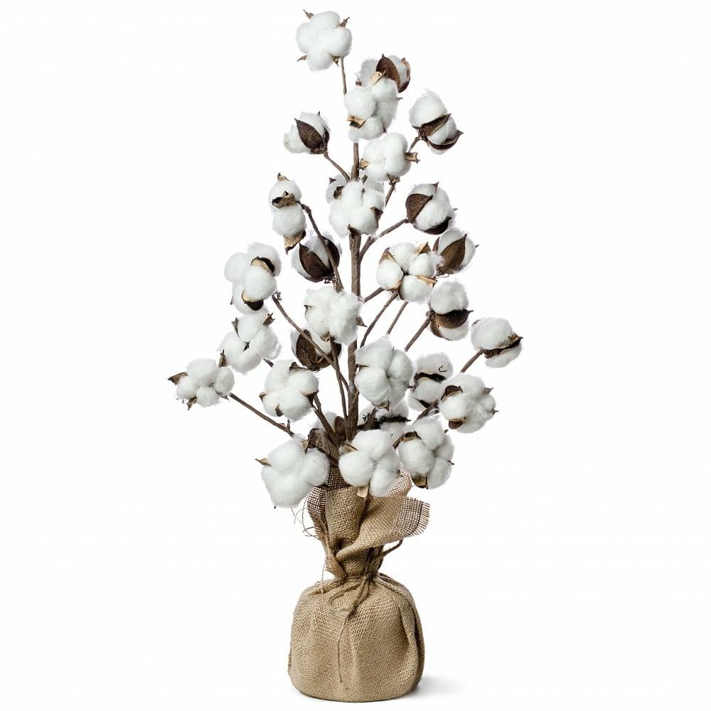 Naturals |   24" Cotton Tree With Burlap Base Accents Beige,Brown,White